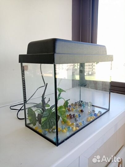 Аквариум