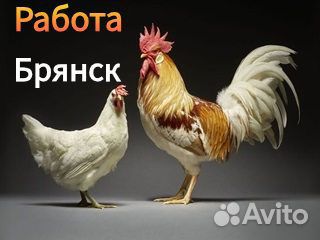Вахта в Брянске Разнорабочий птицефабрика Питание