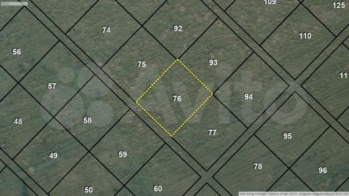 Участок 1 га (СНТ, ДНП)