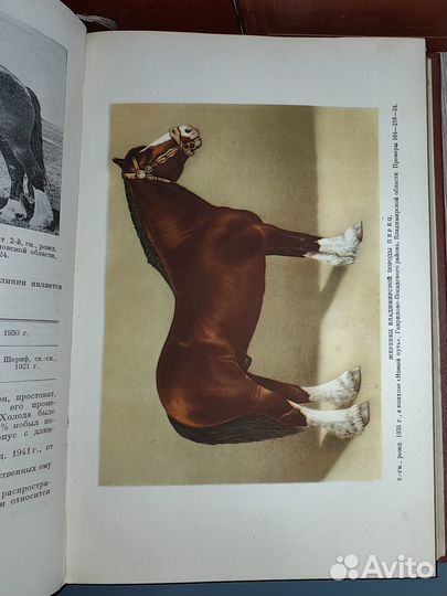 Буденный, С. Книга о лошади,1,2,3 тома. 1952- 59