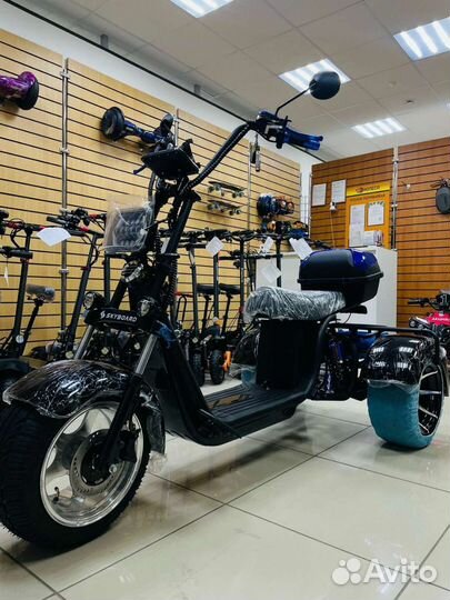 Skyboard trike BR60-3000 (marusya)