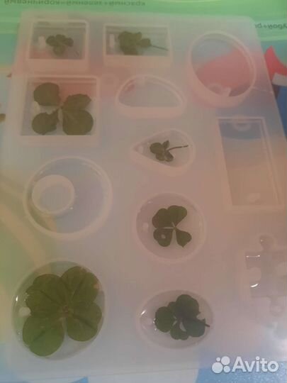 Четырехлистник клевер