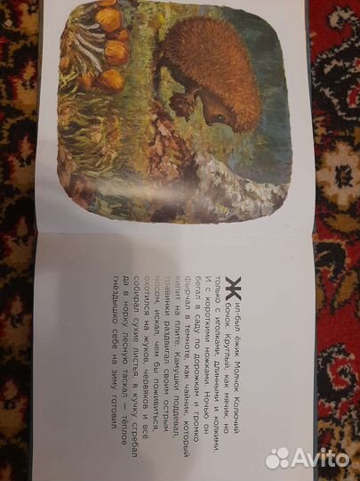 Детские книжки