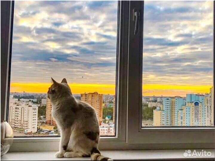 Окна пластиковые от производителя