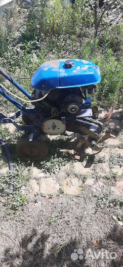 Культиватор крот