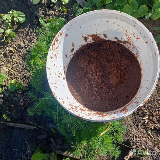 Корм для рыбок