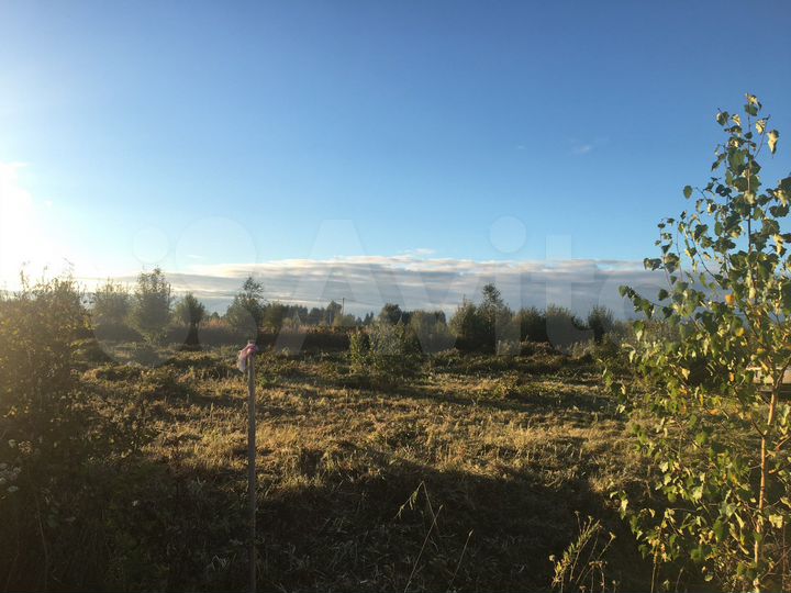 Участок 12 сот. (СНТ, ДНП)