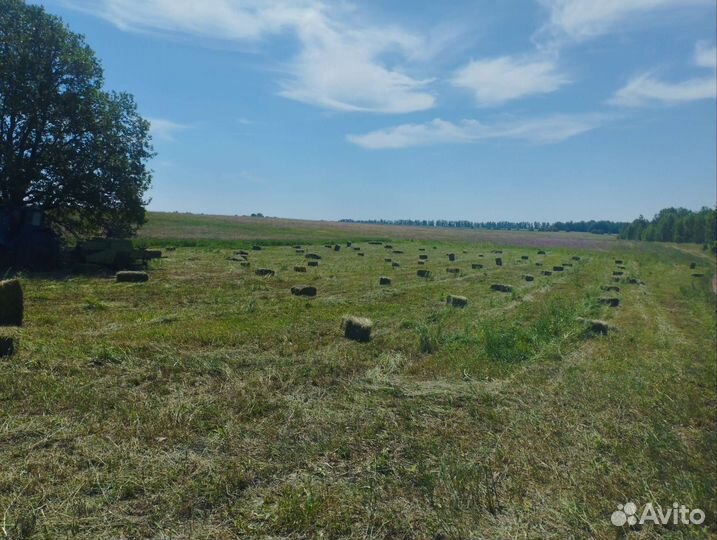 Сено в тюках