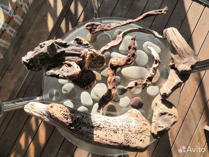 Морские коряги, seawood, плавник, дерево