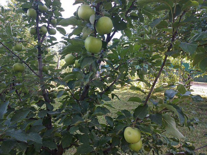 Дача 70 м² на участке 12 сот.