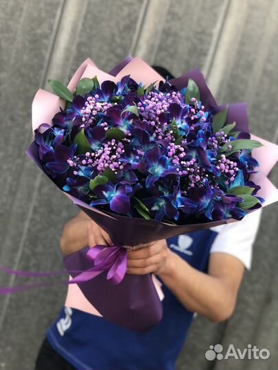 Орхидея дендробиум небесные цветы