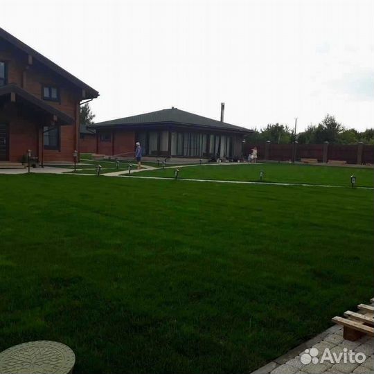 Укладка газона