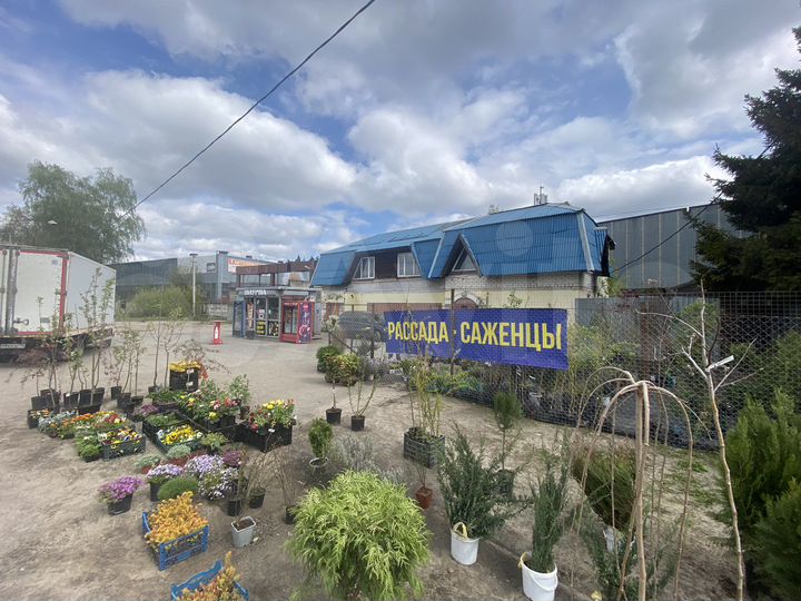 Торговая площадь, 212 м²