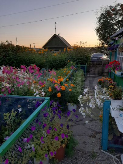 Дача 20 м² на участке 4 сот.