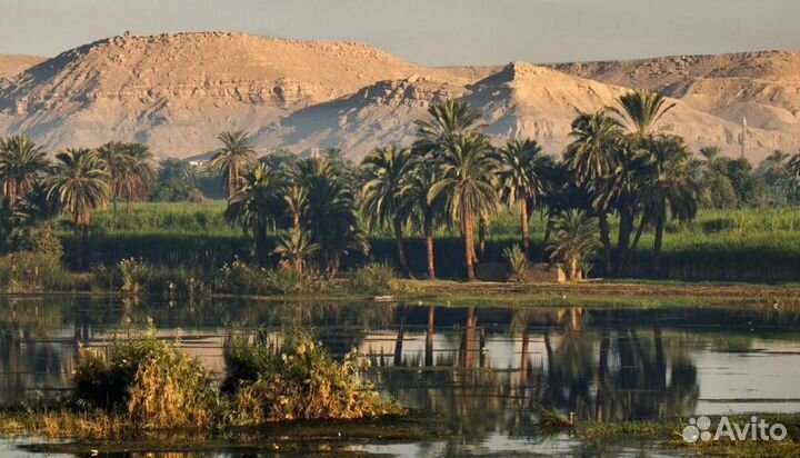 Тур в Egypt 6 нч