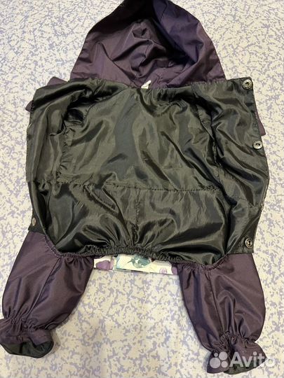 Дождевик для маленькой собаки