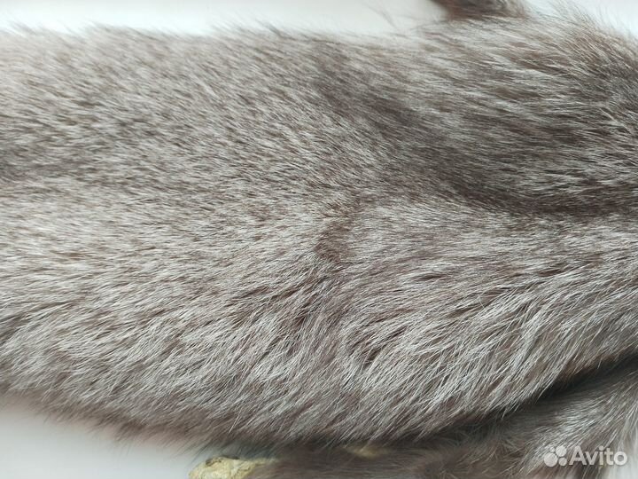 Шкурка песца из зверосовхоза