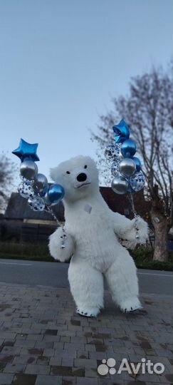 Поздравление Белого Мишки 2 метра 60 см