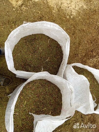 Зерновые отходы гороха+рапса, гречневые, семечки