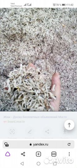 Жом свекловичный
