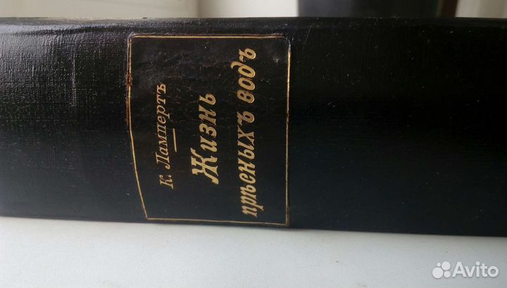 Жизнь пресных вод. 1900 год