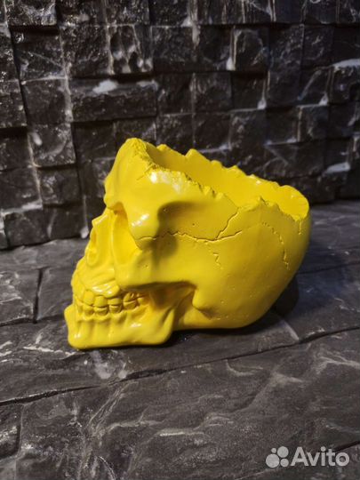 Череп кашпо