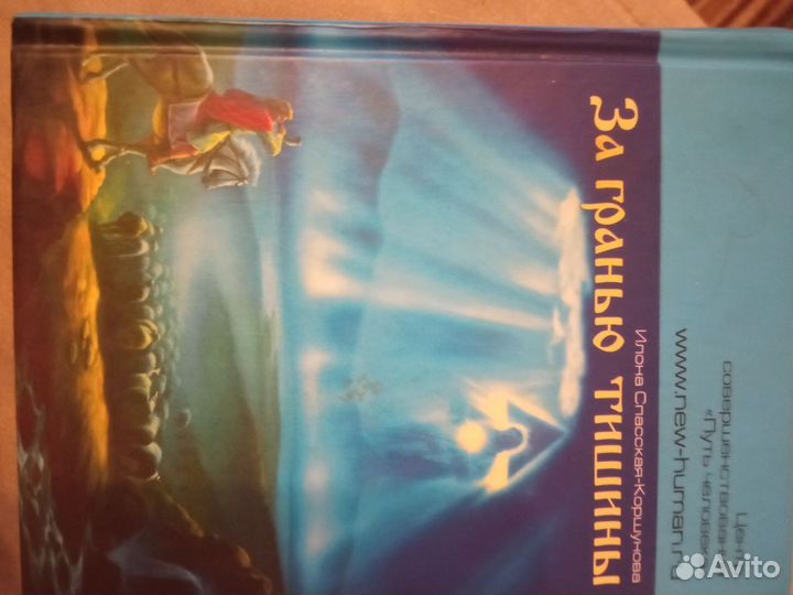 За гранью тишины