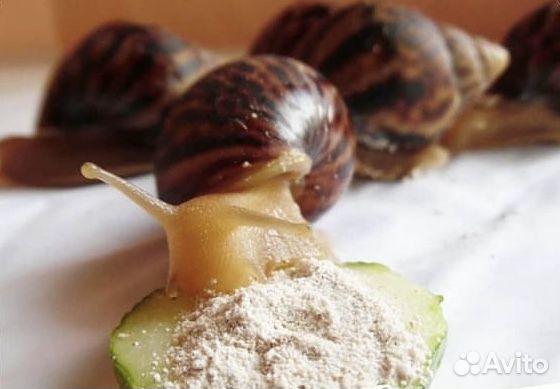 Кальцесмесь для улиток ахатин