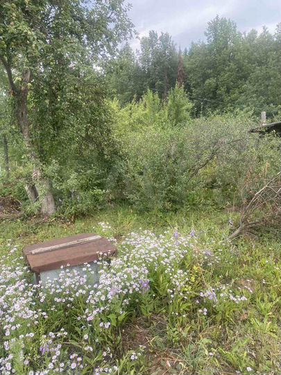 Участок 5,9 сот. (СНТ, ДНП)