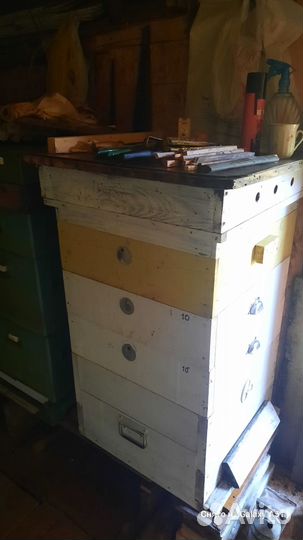 Пасека, ульи, пчелы