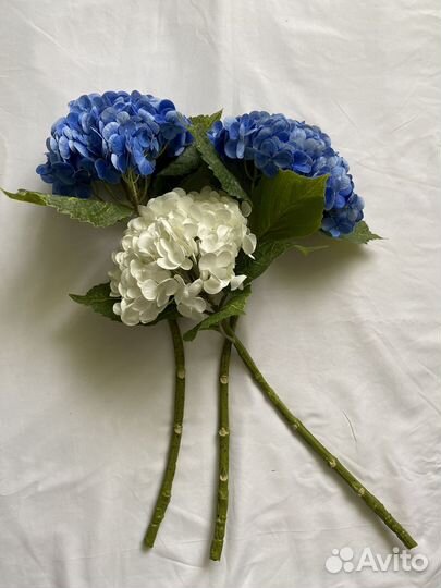 Аренда цветов для фотосессии