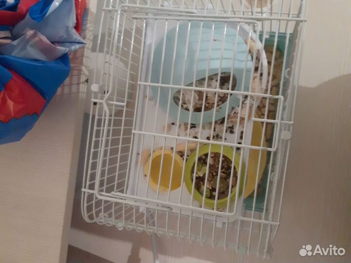 Клетка для грызунов средния