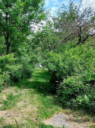 Участок 12 сот. (СНТ, ДНП)