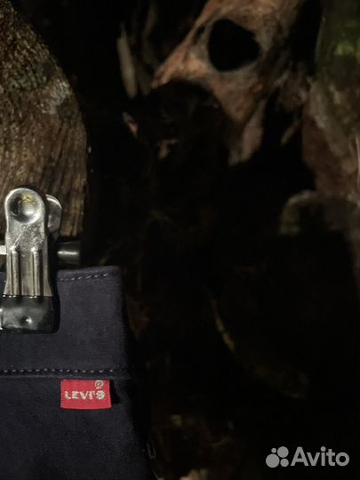 Levis