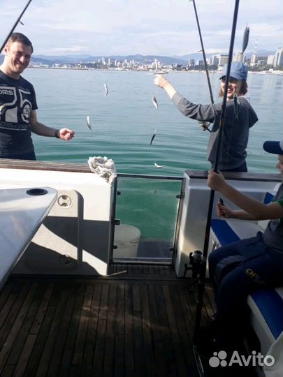 Морская рыбалка на катере / яхте