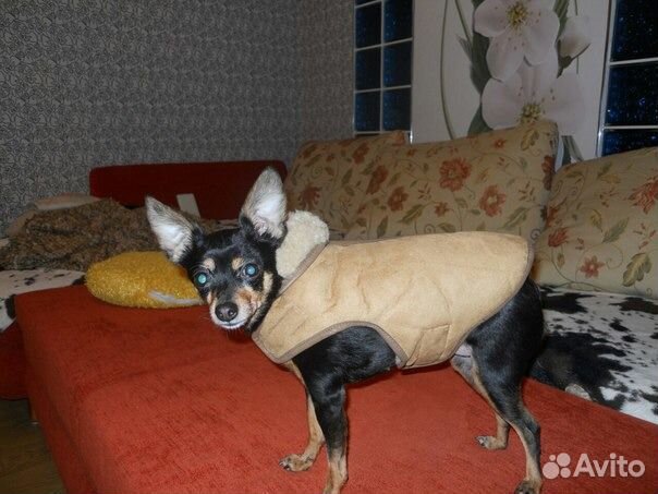 Шубка для собачки