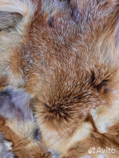 Шкуры (лиса) 9шт