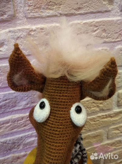 Конь В Пальто