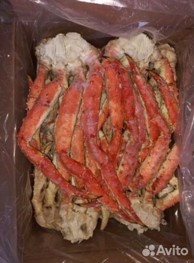 Клешни камчатского краба L4