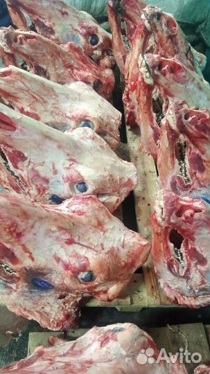 Мясо говядина оптом