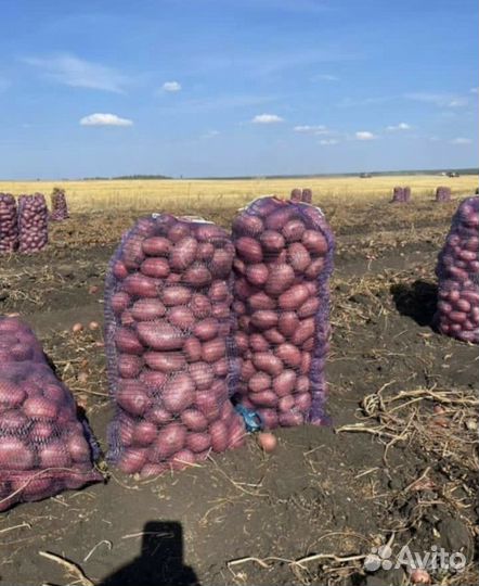 Картофель с доставкой