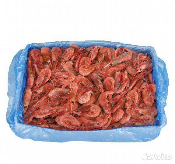 Креветка магаданская 60/80