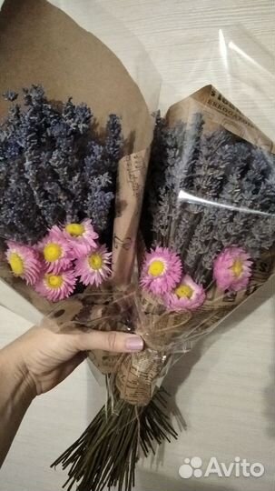 Лавандин сухоцвет