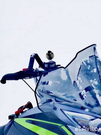 Arctic cat norseman 8000