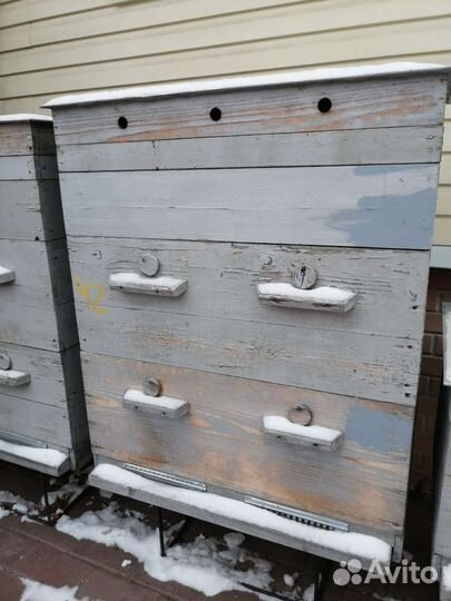 20 рамочные ульи Дадан