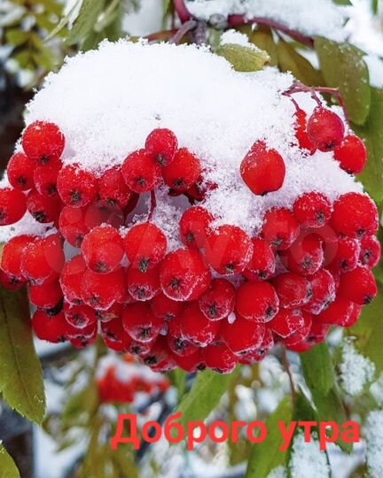 Гараж, 18 м²