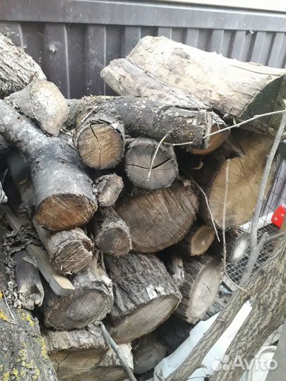 Продам дрова пеньки