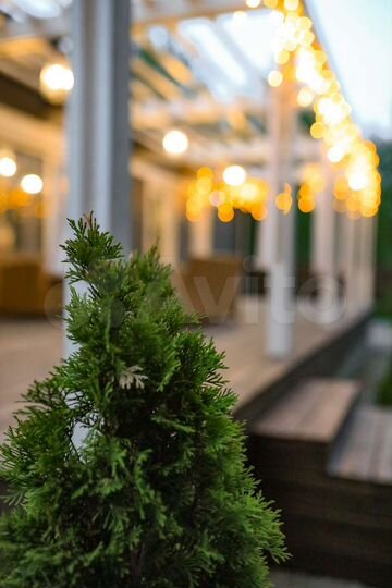 Коттедж 110 м² на участке 8 сот.