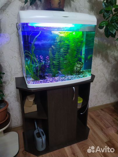 Аквариум