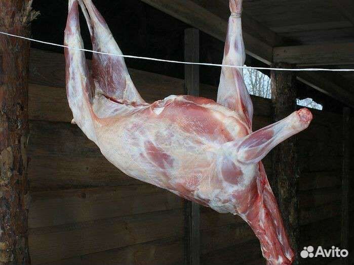 Мясо домашнее